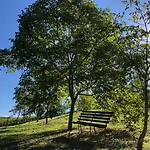 Casale Il Fontanellino - Near Florence Дом отдыха *