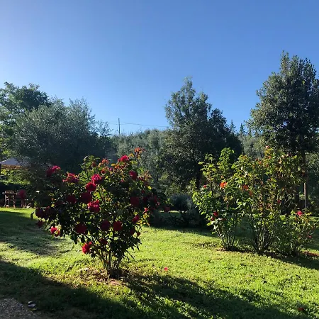 Hébergement de vacances Casale Il Fontanellino - Near Florence San Miniato