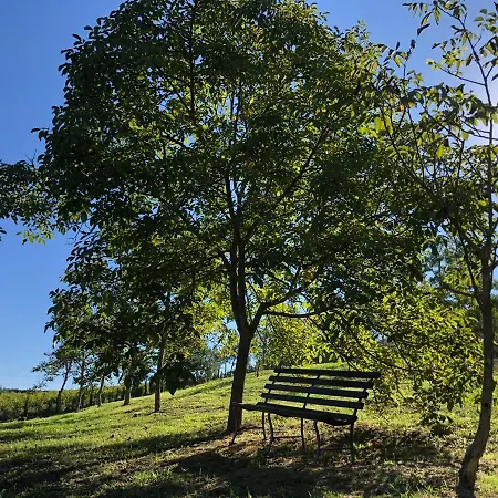 Casale Il Fontanellino - Near Florence Holiday home *