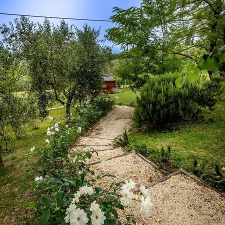 別荘 Casale Il Fontanellino - Near Florence